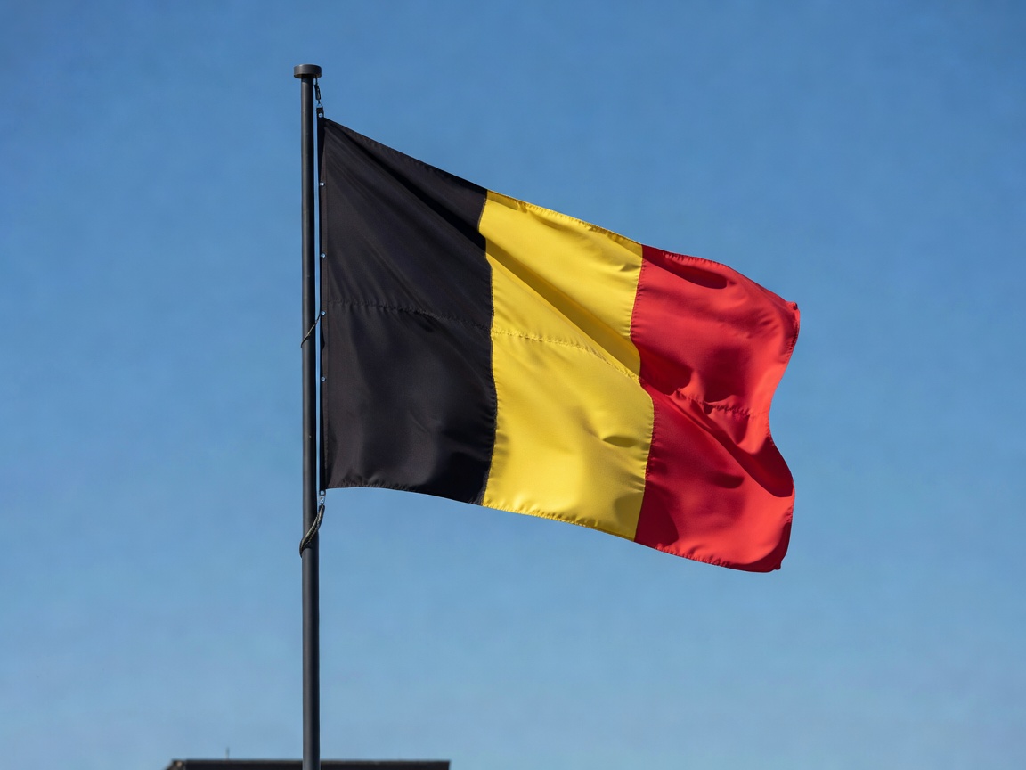 National flag of Belgium